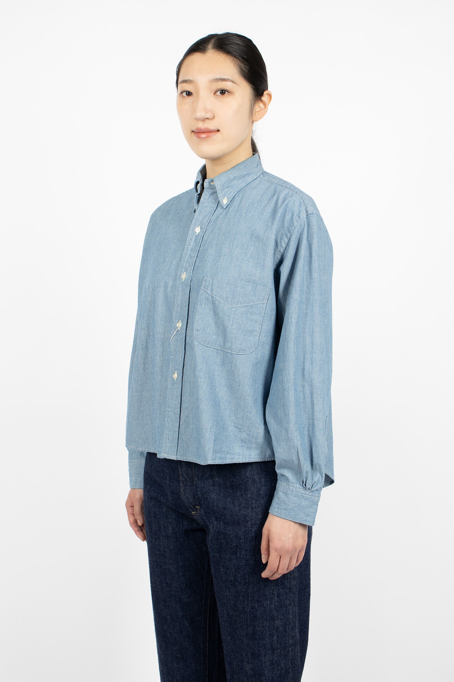 Button Down Shirt Hickory