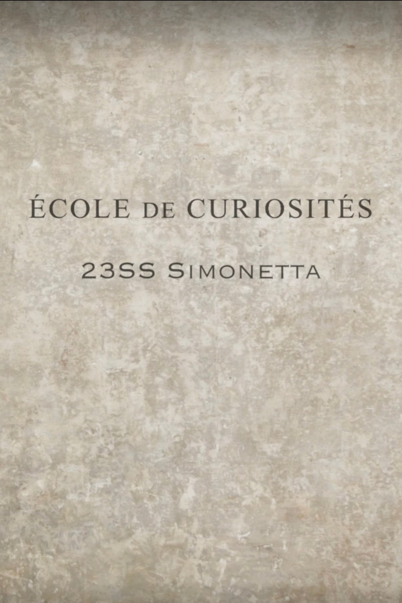 Simonetta As Muse